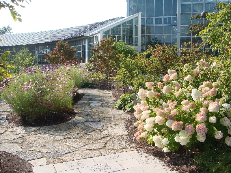 Western Michigan [2009] 204.JPG - Scenes from Frederik Meijer Gardens & Sculpture Park.